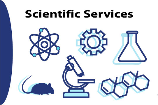 12 Scientif Services