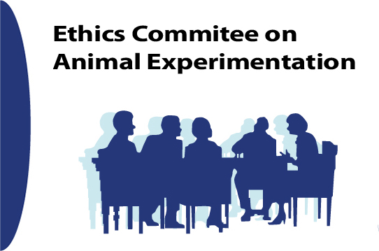 16 Ethics Commitee